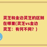 灵芝和金边灵芝的区别在哪里(灵芝vs金边灵芝：有何不同？)