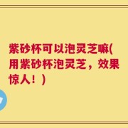 紫砂杯可以泡灵芝嘛(用紫砂杯泡灵芝，效果惊人！)