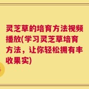 灵芝草的培育方法视频播放(学习灵芝草培育方法，让你轻松拥有丰收果实)