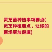 灵芝菌种植事项要点(灵芝种植要点，让你的菌场更加健康)
