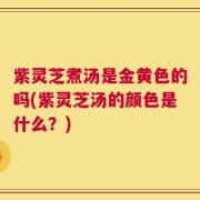 紫灵芝煮汤是金黄色的吗(紫灵芝汤的颜色是什么？)