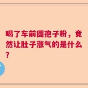 喝了车前圆孢子粉，竟然让肚子涨气的是什么？