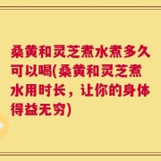 桑黄和灵芝煮水煮多久可以喝(桑黄和灵芝煮水用时长，让你的身体得益无穷)