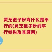 灵芝孢子粉为什么是平行的(灵芝孢子粉的平行结构及其原因)