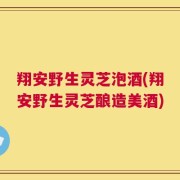 翔安野生灵芝泡酒(翔安野生灵芝酿造美酒)