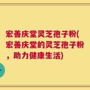 宏善庆堂灵芝孢子粉(宏善庆堂的灵芝孢子粉，助力健康生活)