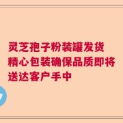 灵芝孢子粉装罐发货 精心包装确保品质即将送达客户手中
