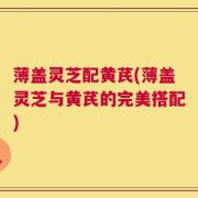 薄盖灵芝配黄芪(薄盖灵芝与黄芪的完美搭配)