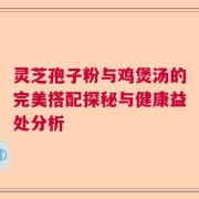 灵芝孢子粉与鸡煲汤的完美搭配探秘与健康益处分析