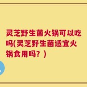 灵芝野生菌火锅可以吃吗(灵芝野生菌适宜火锅食用吗？)