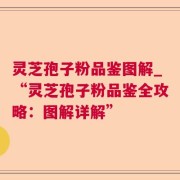 灵芝孢子粉品鉴图解_“灵芝孢子粉品鉴全攻略：图解详解”