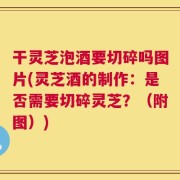 干灵芝泡酒要切碎吗图片(灵芝酒的制作：是否需要切碎灵芝？（附图）)
