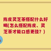 陈皮灵芝茶搭配什么好喝(怎么搭配陈皮、灵芝茶才能口感更佳？)
