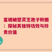 富硒破壁灵芝孢子粉图：探秘其独特功效与珍贵价值