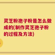 灵芝粉孢子粉是怎么做成的(制作灵芝孢子粉的过程及方法)