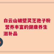 白云山破壁灵芝孢子粉 营养丰富的健康养生滋补品