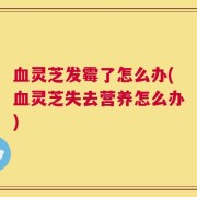 血灵芝发霉了怎么办(血灵芝失去营养怎么办)