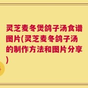 灵芝麦冬煲鸽子汤食谱图片(灵芝麦冬鸽子汤的制作方法和图片分享)