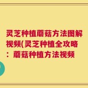 灵芝种植蘑菇方法图解视频(灵芝种植全攻略：蘑菇种植方法视频