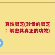 真性灵芝(珍贵的灵芝：解密其真正的功效)