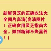 新鲜灵芝的正确吃法大全图片高清(高清图片！正确食用灵芝指南大全，做到新鲜不失营养！)