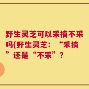 野生灵芝可以采摘不采吗(野生灵芝：“采摘”还是“不采”？