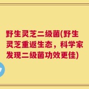 野生灵芝二级菌(野生灵芝重返生态，科学家发现二级菌功效更佳)