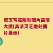 灵芝写实雕刻图片高清大图(高清灵芝雕刻图片展示)