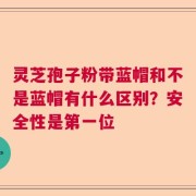 灵芝孢子粉带蓝帽和不是蓝帽有什么区别？安全性是第一位