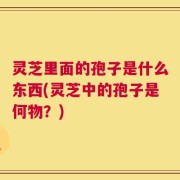 灵芝里面的孢子是什么东西(灵芝中的孢子是何物？)