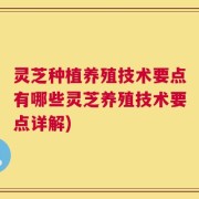 灵芝种植养殖技术要点有哪些灵芝养殖技术要点详解)
