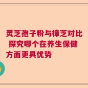 灵芝孢子粉与樟芝对比 探究哪个在养生保健方面更具优势