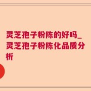 灵芝孢子粉陈的好吗_灵芝孢子粉陈化品质分析