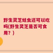野生灵芝蛀虫还可以吃吗(野生灵芝是否可食用？)