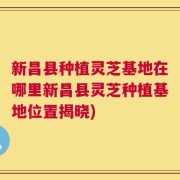 新昌县种植灵芝基地在哪里新昌县灵芝种植基地位置揭晓)