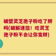 破壁灵芝孢子粉吃了胖吗(破解迷信！吃灵芝孢子粉不会让你变胖)