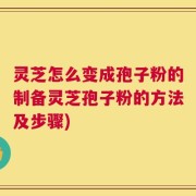 灵芝怎么变成孢子粉的制备灵芝孢子粉的方法及步骤)