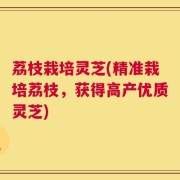 荔枝栽培灵芝(精准栽培荔枝，获得高产优质灵芝)