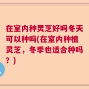 在室内种灵芝好吗冬天可以种吗(在室内种植灵芝，冬季也适合种吗？)