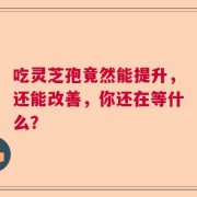 吃灵芝孢竟然能提升，还能改善，你还在等什么？