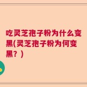 吃灵芝孢子粉为什么变黑(灵芝孢子粉为何变黑？)