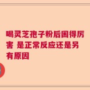 喝灵芝孢子粉后困得厉害 是正常反应还是另有原因