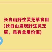 长白山野生灵芝草食用(长白山发现野生灵芝草，具有食用价值)