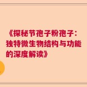 《探秘节孢子粉孢子：独特微生物结构与功能的深度解读》