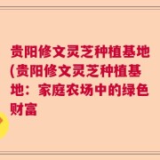 贵阳修文灵芝种植基地(贵阳修文灵芝种植基地:家庭农场中的绿色财富