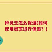 种灵芝怎么保湿(如何使用灵芝进行保湿？)