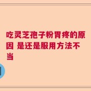 吃灵芝孢子粉胃疼的原因 是还是服用方法不当