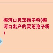梅河口灵芝孢子粉(梅河口出产的灵芝孢子粉)
