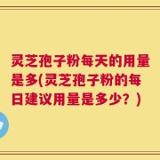 灵芝孢子粉每天的用量是多(灵芝孢子粉的每日建议用量是多少？)