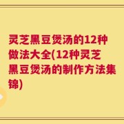 灵芝黑豆煲汤的12种做法大全(12种灵芝黑豆煲汤的制作方法集锦)